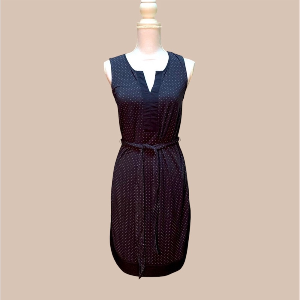 Ann Taylor petite Navy Blue polka dress 💕